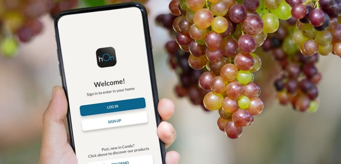 Partnership tra Haier Europe e Vivino